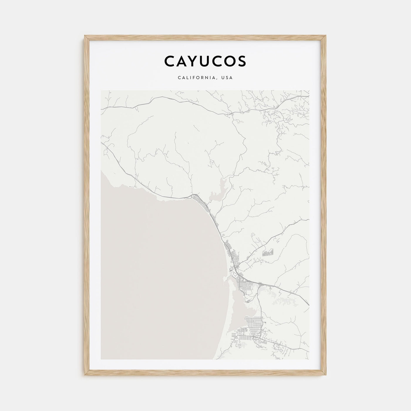 Saguaro National Park Drawn Poster