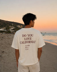Do You Love California Tee