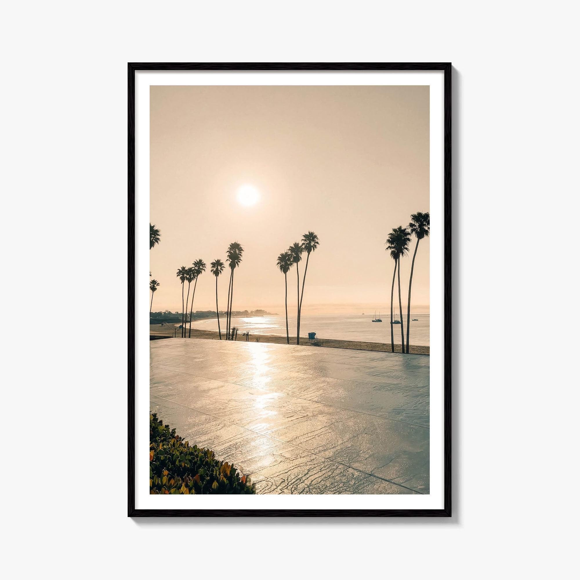 Santa Cruz Palm Promenade Fine Art Photo Print – fine art print by The Cali Studio