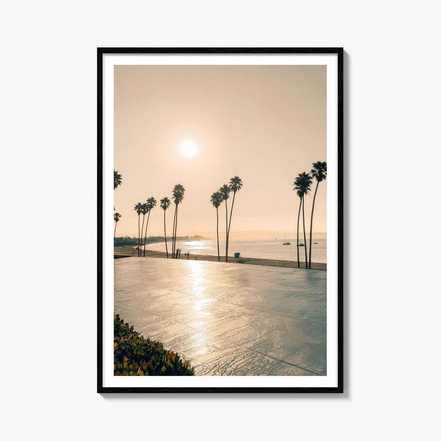 Santa Cruz Palm Promenade Fine Art Photo Print – fine art print by The Cali Studio