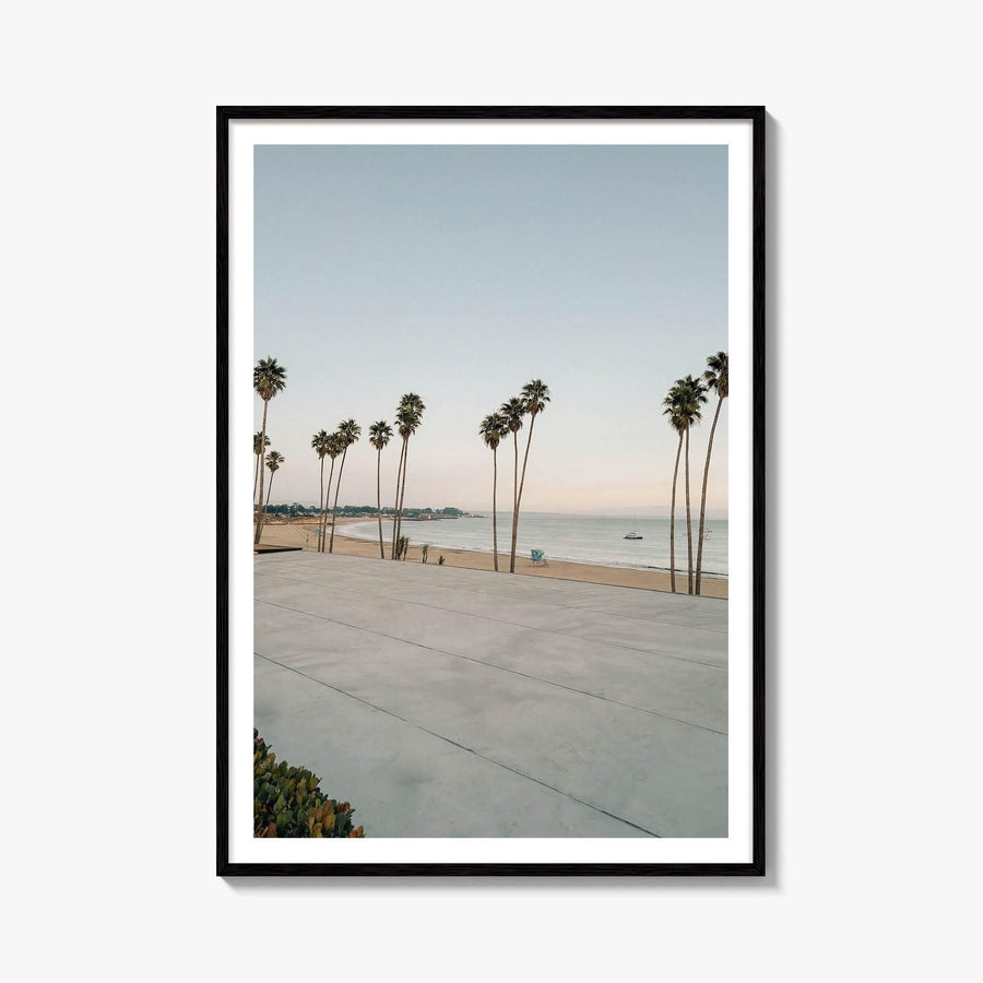 Santa Cruz Palm Row Fine Art Photo Print – fine art print by The Cali Studio