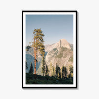 Half Dome Pine Tree Fine Art Photo Print – fine art print by The Cali Studio