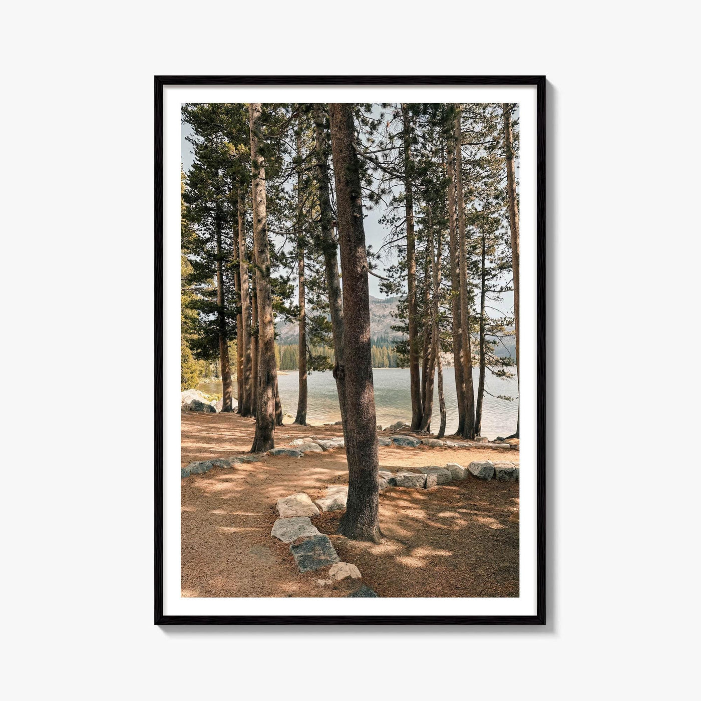 Yosemite National Park Fine Art Photo Print – fine art print by The Cali Studio