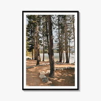 Yosemite National Park Fine Art Photo Print – fine art print by The Cali Studio