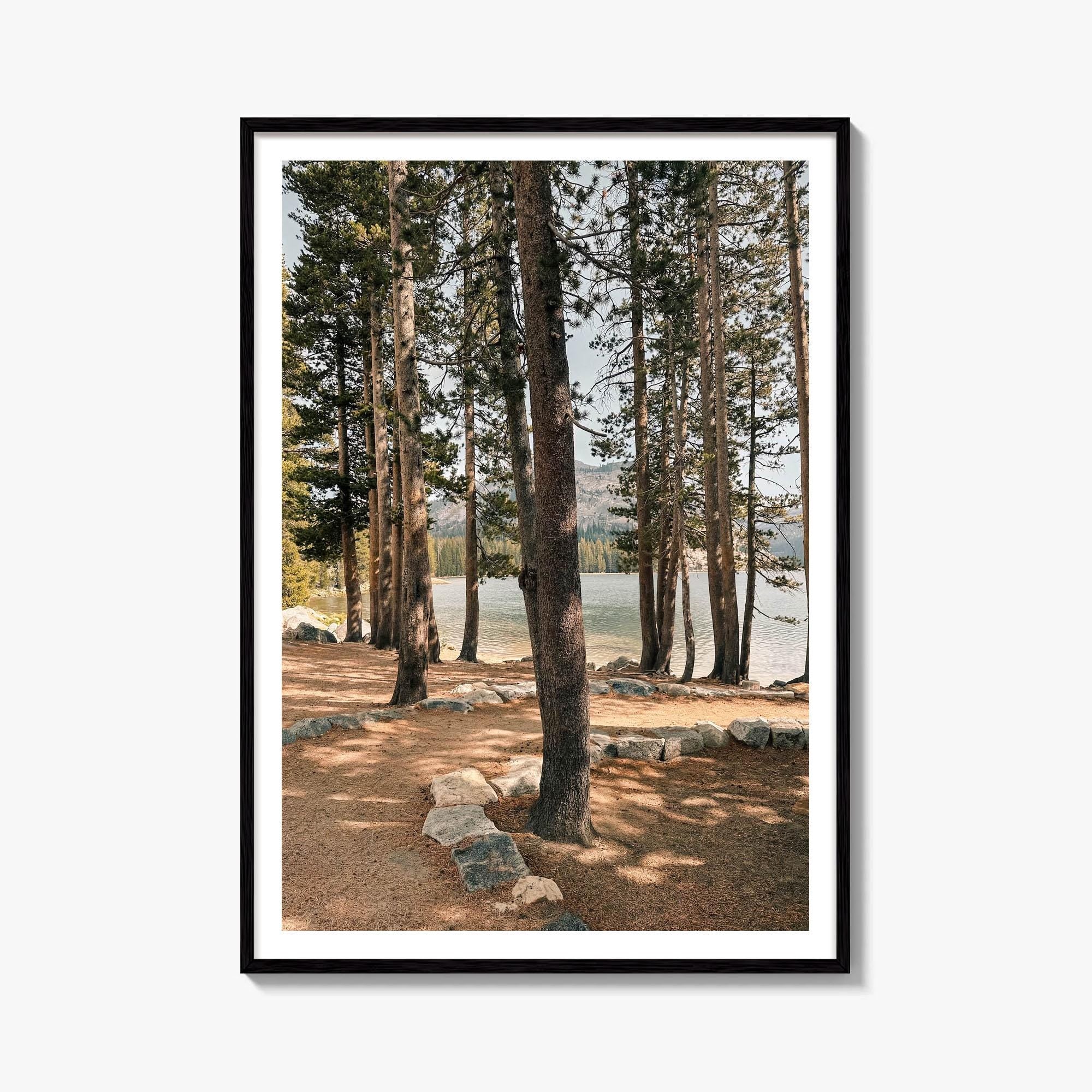 Yosemite National Park Fine Art Photo Print – fine art print by The Cali Studio