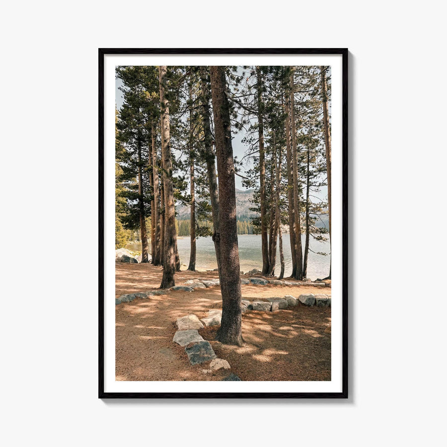 Yosemite National Park Fine Art Photo Print – fine art print by The Cali Studio