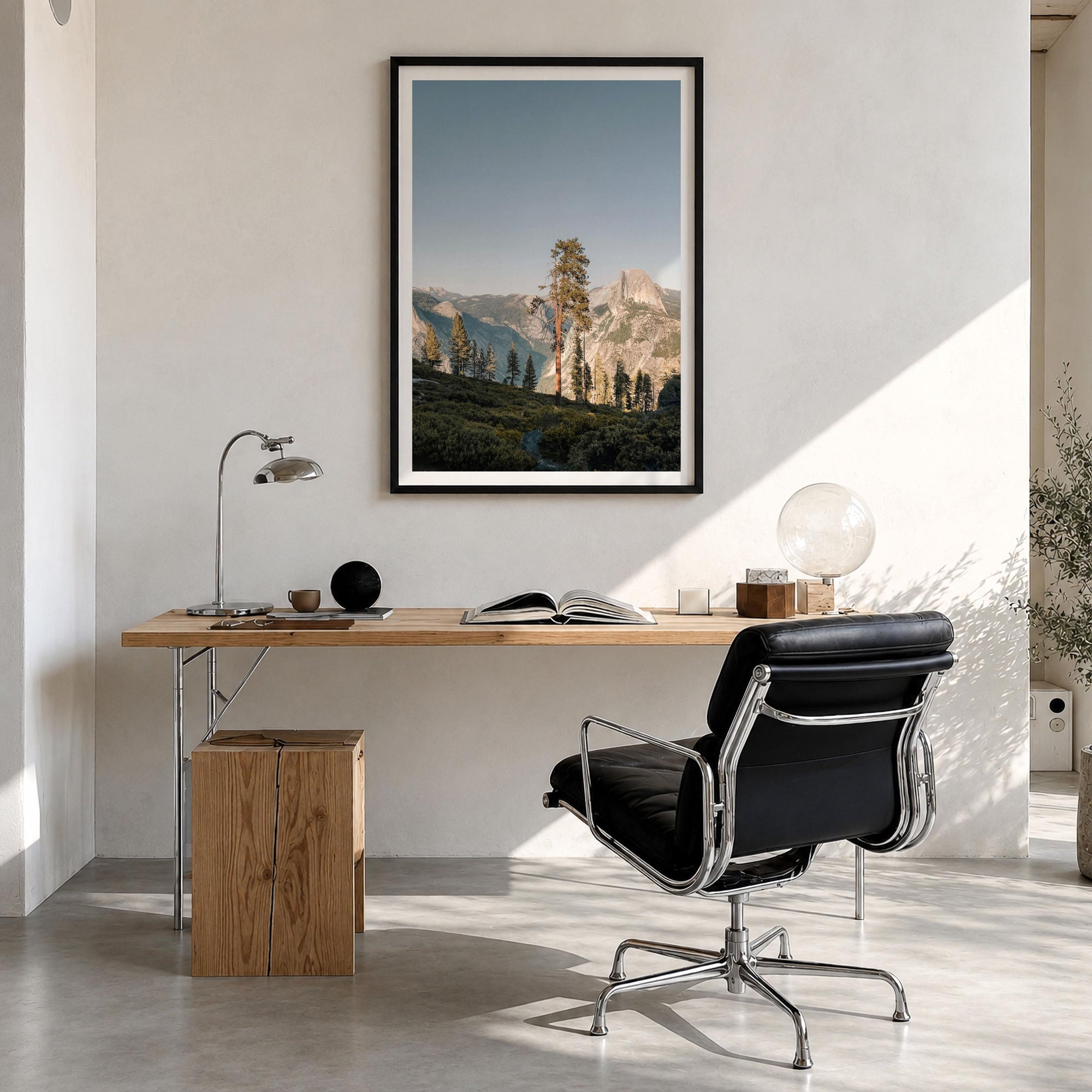 Pine Tree Fine Art Photo Print – fine art print by The Cali Studio