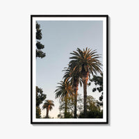 California Palm Tree Sunset Fine Art Photo Print – fine art print by The Cali Studio