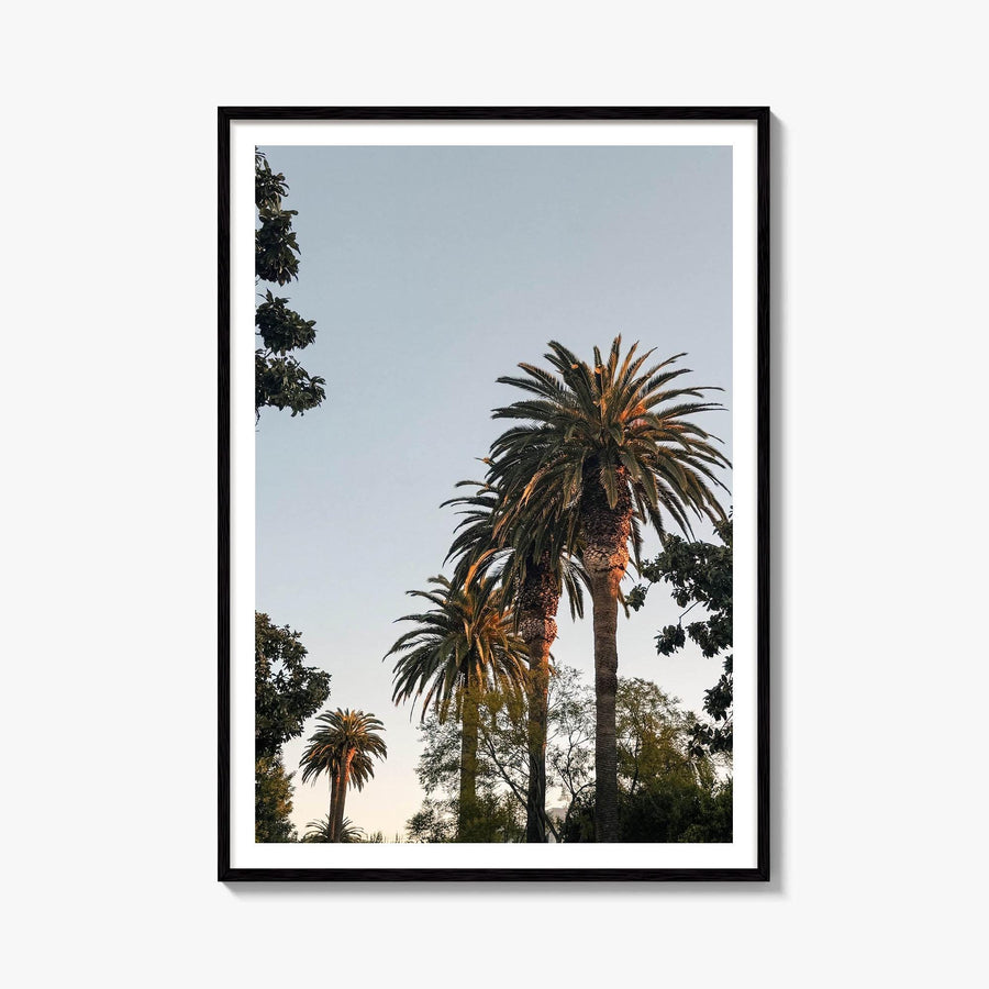 California Palm Tree Sunset Fine Art Photo Print – fine art print by The Cali Studio