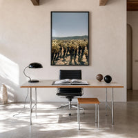 Cholla Cactus Garden Fine Art Photo Print – fine art print by The Cali Studio