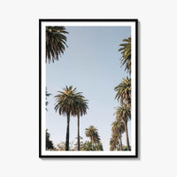California Palm Tree Canopy Fine Art Photo Print – fine art print by The Cali Studio