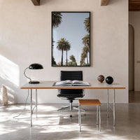 California Palm Tree Canopy Fine Art Photo Print – fine art print by The Cali Studio