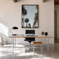 Los Angeles Palm Street Fine Art Photo Print – fine art print by The Cali Studio