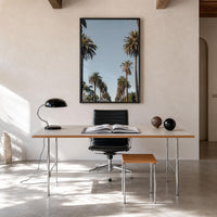 California Palm Tree Avenue Fine Art Photo Print – fine art print by The Cali Studio