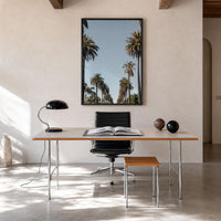 California Palm Tree Avenue Fine Art Photo Print – fine art print by The Cali Studio