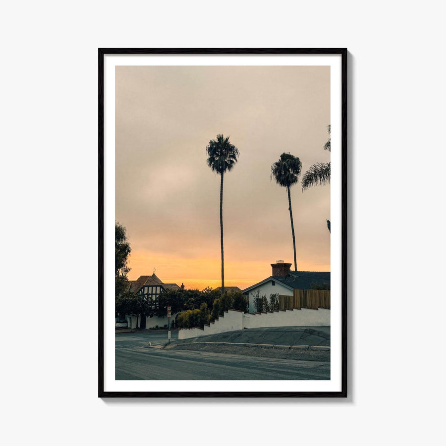 Laguna Beach Palm Silhouette Fine Art Photo Print – fine art print by The Cali Studio