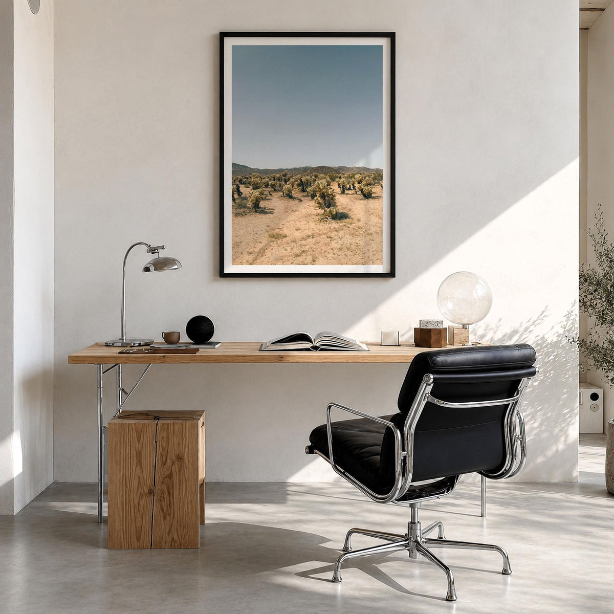 Cholla Cactus Garden Fine Art Photo Print – fine art print by The Cali Studio