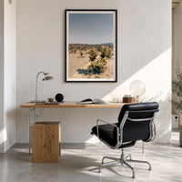 Cholla Cactus Garden Fine Art Photo Print – fine art print by The Cali Studio