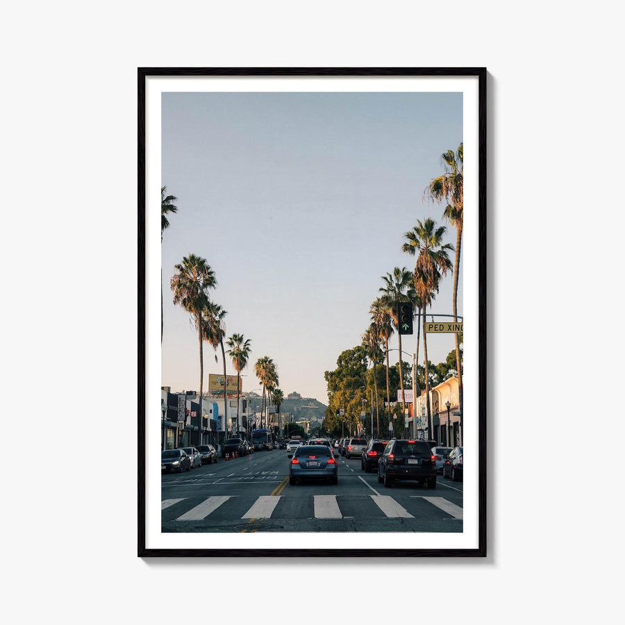 Palm Street Fine Art Photo Print – fine art print by The Cali Studio
