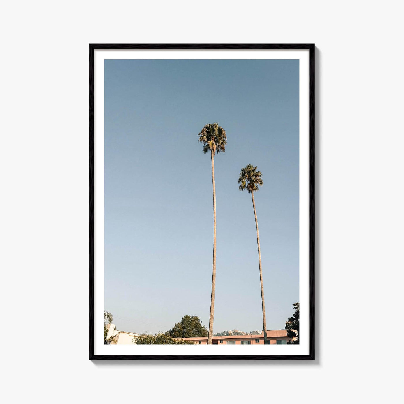 West Hollywood Palm Trees Fine Art Photo Print – fine art print by The Cali Studio