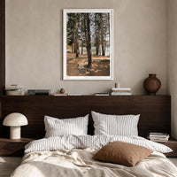 Yosemite National Park Fine Art Photo Print – fine art print by The Cali Studio