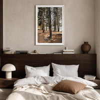 Yosemite National Park Fine Art Photo Print – fine art print by The Cali Studio