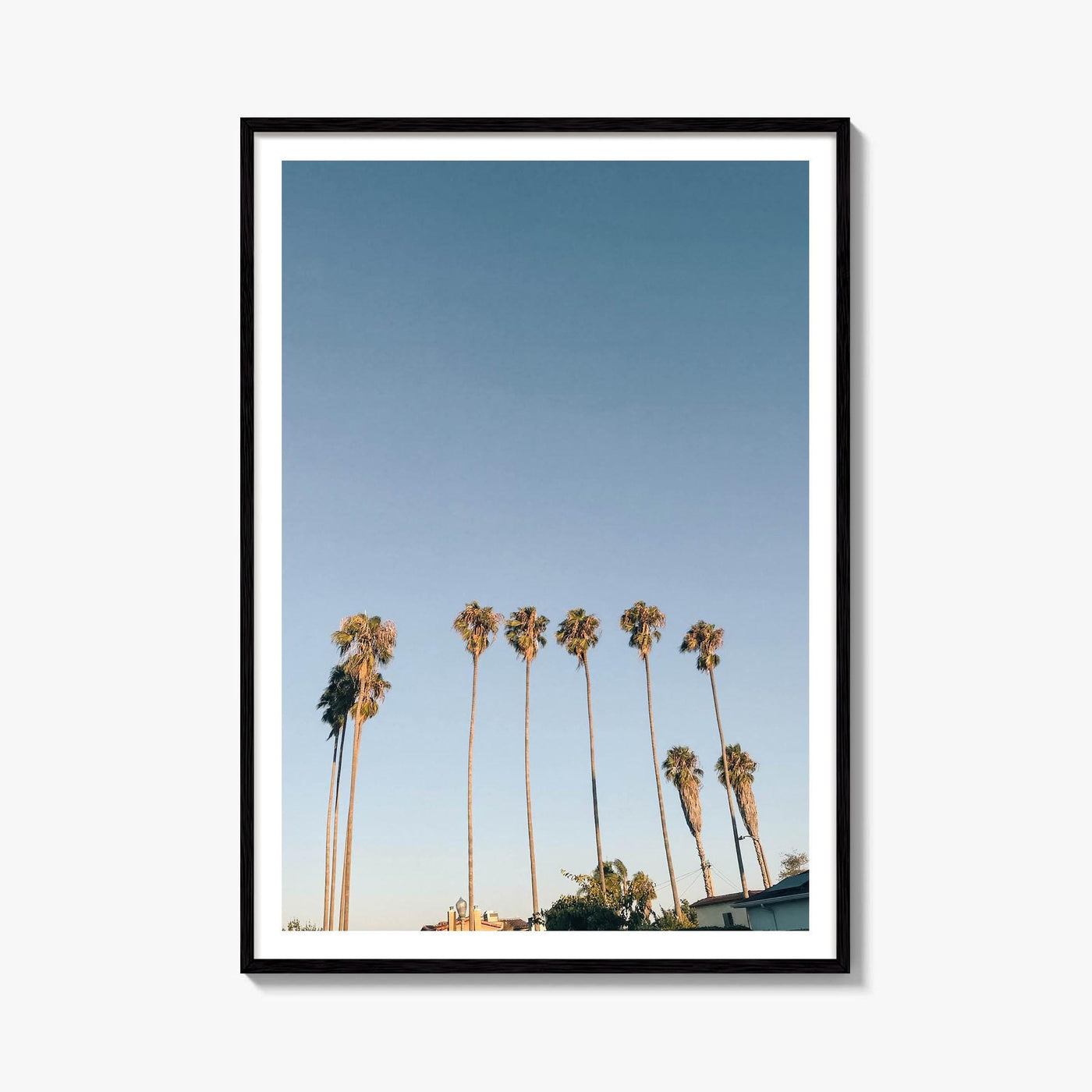 California Palm Tree Row Fine Art Photo Print – fine art print by The Cali Studio