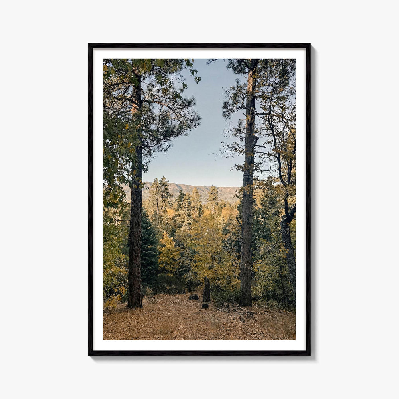 Big Bear Lake Fine Art Photo Print – fine art print by The Cali Studio