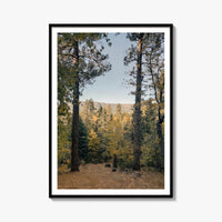Big Bear Lake Fine Art Photo Print – fine art print by The Cali Studio