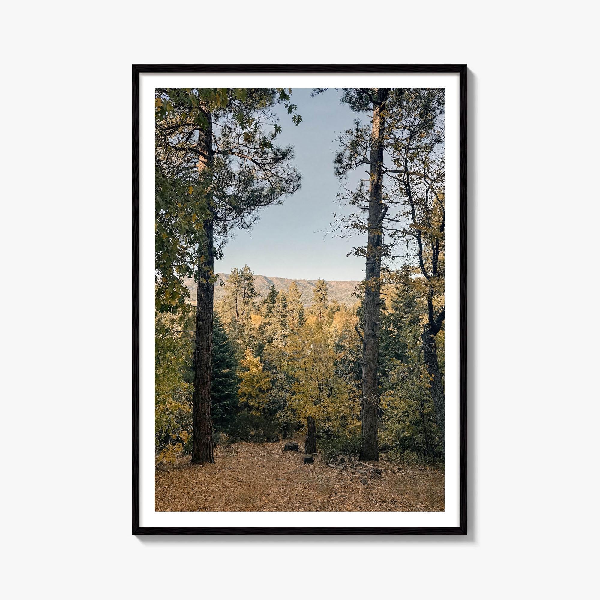 Big Bear Lake Fine Art Photo Print – fine art print by The Cali Studio