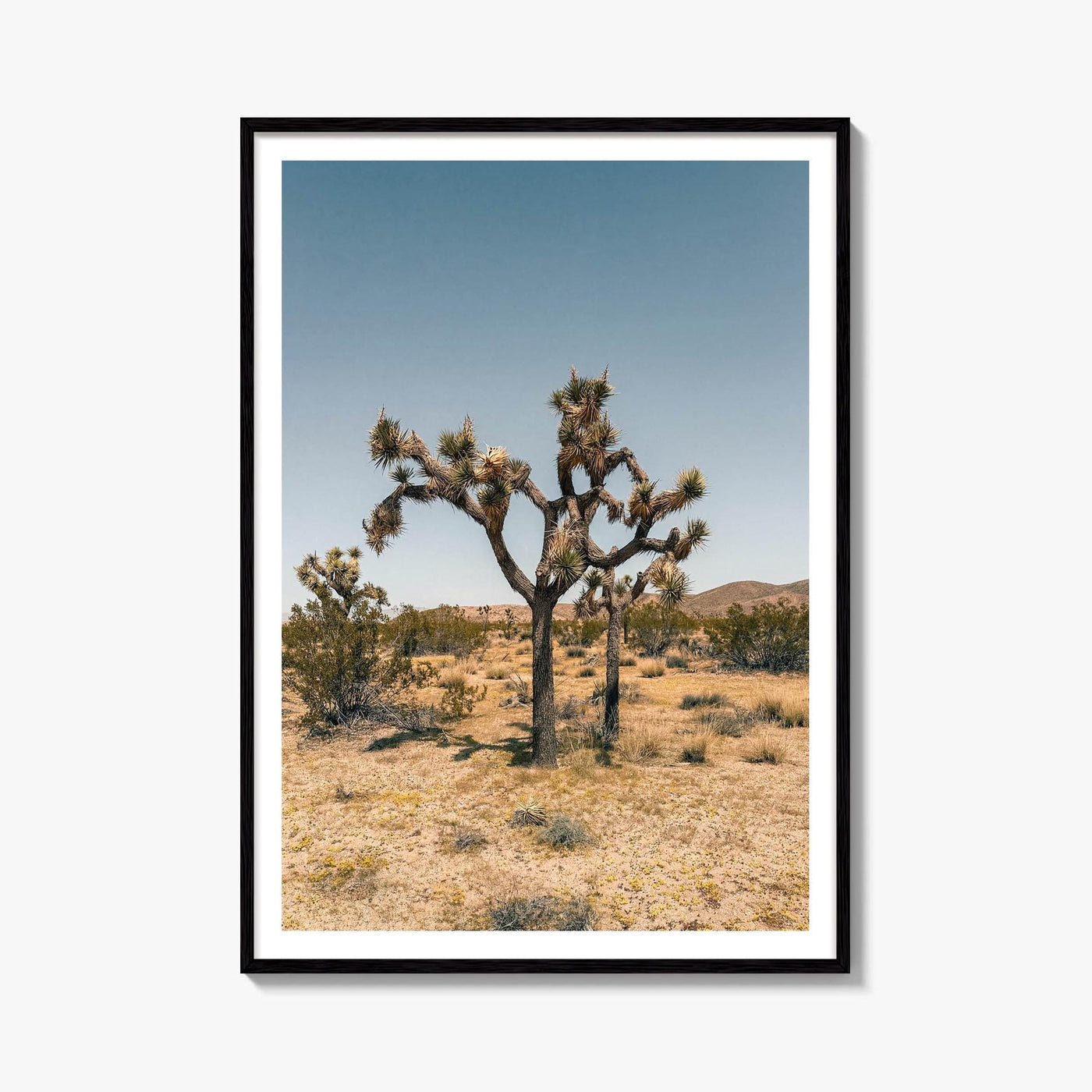 Joshua Tree Fine Art Photo Print – fine art print by The Cali Studio