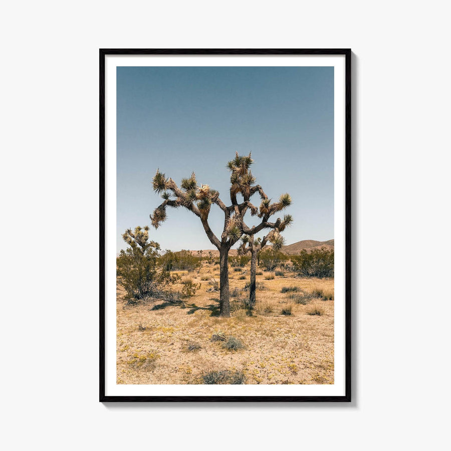 Joshua Tree Fine Art Photo Print – fine art print by The Cali Studio