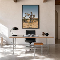 Joshua Tree Fine Art Photo Print – fine art print by The Cali Studio