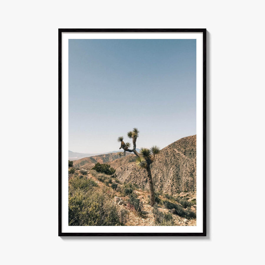 Joshua Tree Fine Art Photo Print – fine art print by The Cali Studio