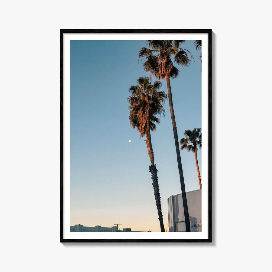 Melrose Avenue Palm Sunset Fine Art Photo Print – fine art print by The Cali Studio