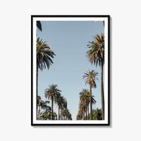 California Palm Tree Avenue Fine Art Photo Print – fine art print by The Cali Studio