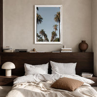 California Palm Tree Avenue Fine Art Photo Print – fine art print by The Cali Studio