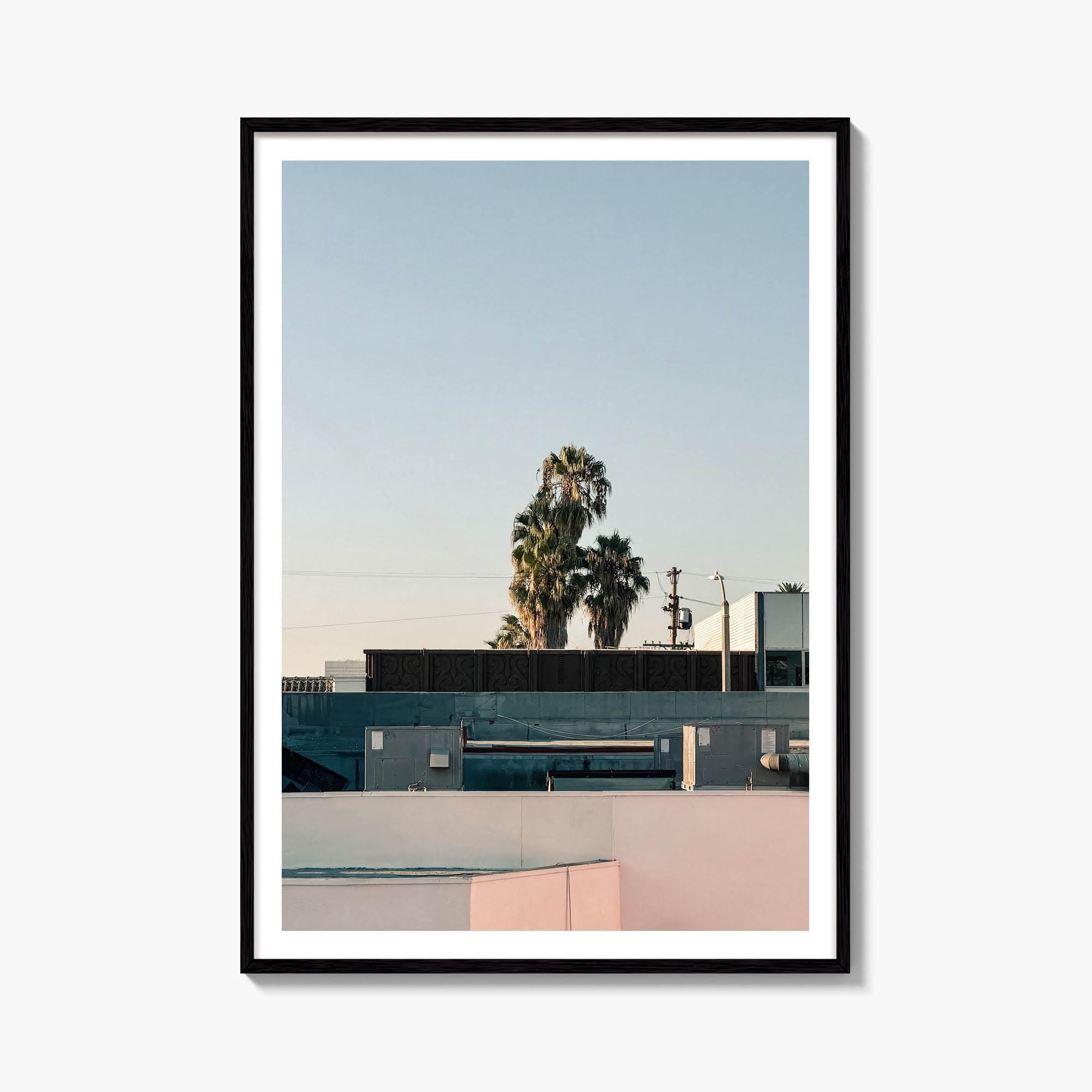 California Palm Tree Fine Art Photo Print – fine art print by The Cali Studio