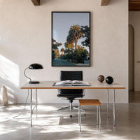 Fairfax Palm Tree Fine Art Photo Print – fine art print by The Cali Studio