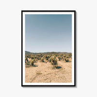 Cholla Cactus Garden Fine Art Photo Print – fine art print by The Cali Studio